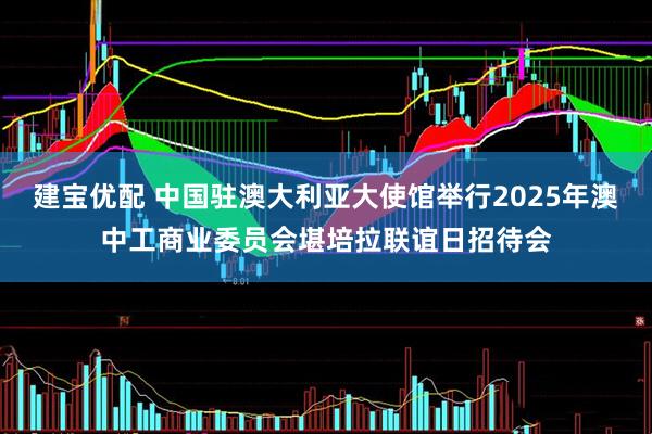 建宝优配 中国驻澳大利亚大使馆举行2025年澳中工商业委员会堪培拉联谊日招待会