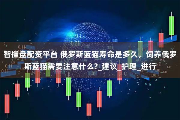 智操盘配资平台 俄罗斯蓝猫寿命是多久，饲养俄罗斯蓝猫需要注意什么?_建议_护理_进行