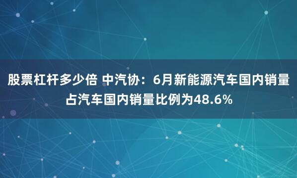 股票杠杆多少倍 中汽协：6月新能源汽车国内销量占汽车国内销量比例为48.6%
