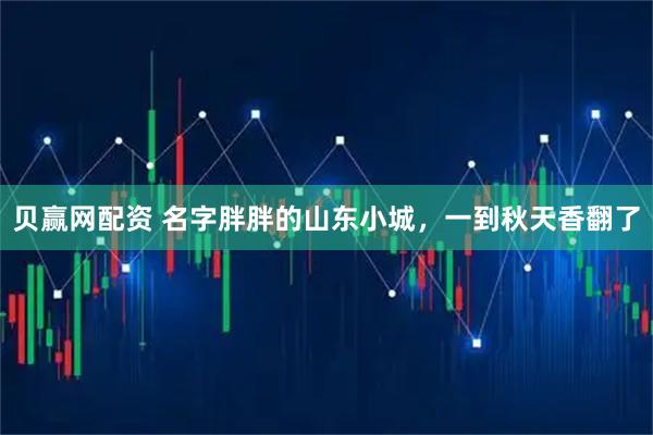 贝赢网配资 名字胖胖的山东小城，一到秋天香翻了