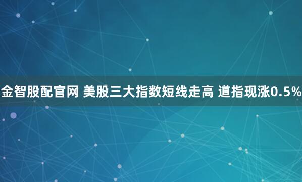 金智股配官网 美股三大指数短线走高 道指现涨0.5%
