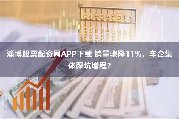 淄博股票配资网APP下载 销量骤降11%，车企集体踩坑增程？