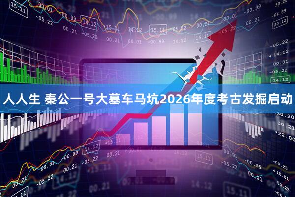 人人生 秦公一号大墓车马坑2026年度考古发掘启动